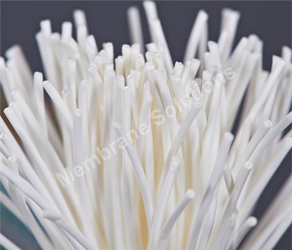 PVDF Hollow Fiber Membrane