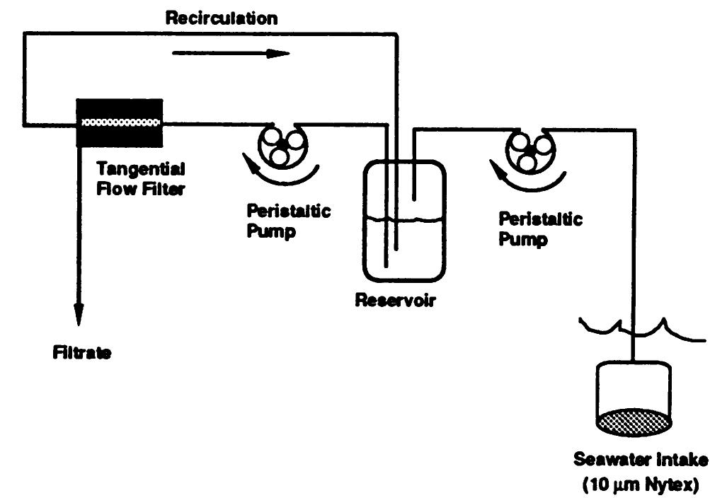 Schematic Diagram of Traditional Tangential Flow Filtration
