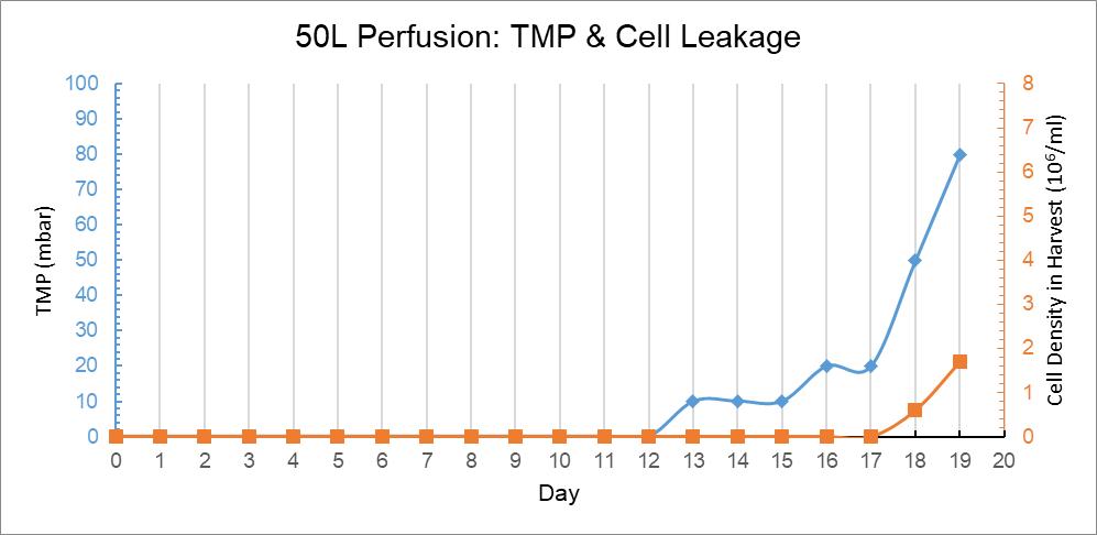 50L Perfusion Bag Trend Graph of Culture Days Versus TMP and Harvest Fluid Cell Density