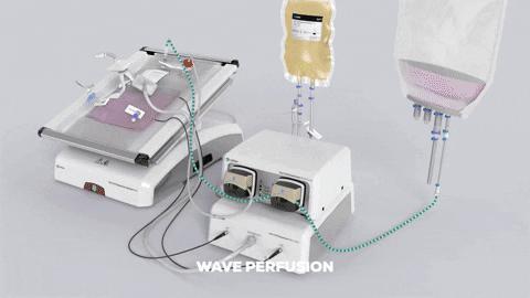 XuriTM Series Single-use Perfusion Bioreactor Products (Image from Cytiva)