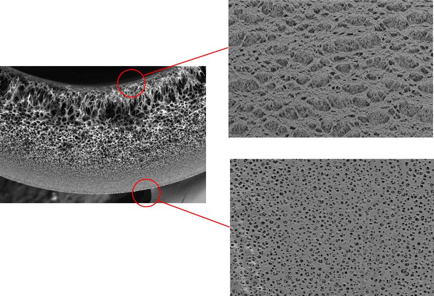 SEM Image of 0.22um PES Hollow Fiber Membrane