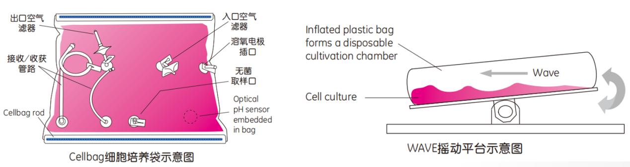 Single-use Bioreactor Cellbag ? Schematic Diagram (Image from GE)