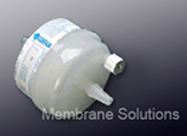 MS-WPM2 Capsule Filters
