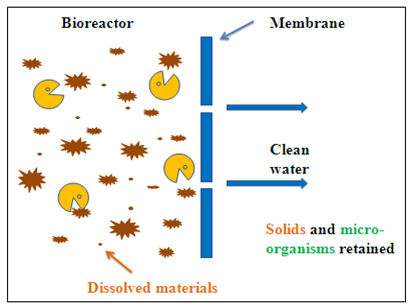 Membrane bioreactor (MBR)