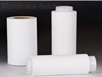 Filtration & Purification