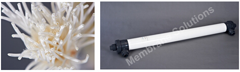 PES Ultrafiltration Membrane